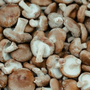 Shiitake Mushrooms