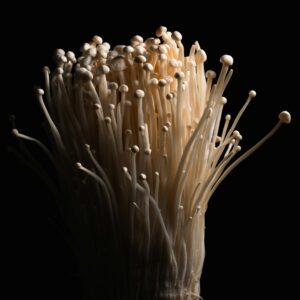Enoki Mushrooms