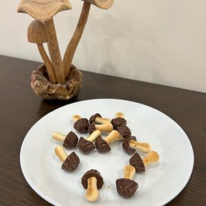 Funny Mushrooms Cookies