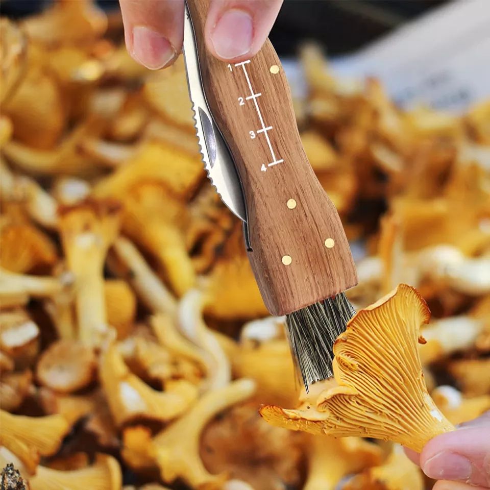 Mushroom Hunting Knife - Image 4