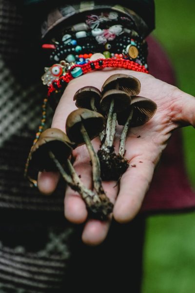 pexels-marco-carmona-79381080-12891187